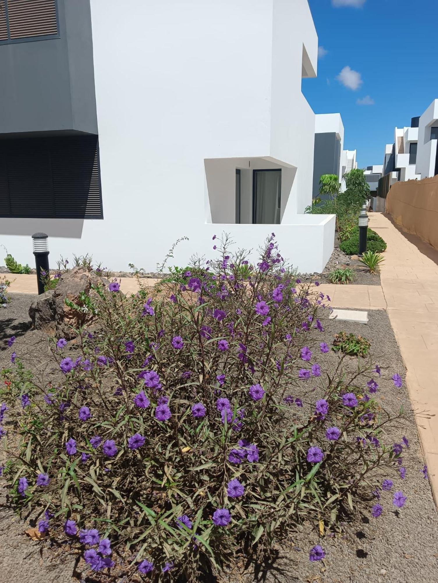 Aulaga Apartment Villaverde  Luaran gambar